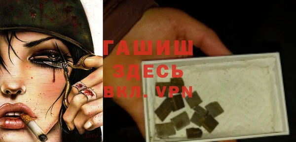 ПСИЛОЦИБИНОВЫЕ ГРИБЫ Новозыбков