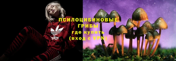 МДМА Новодвинск