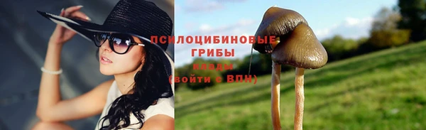 ECSTASY Нефтекумск