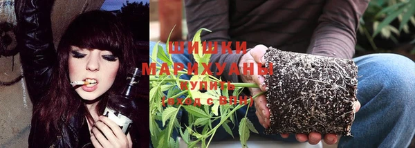 ПСИЛОЦИБИНОВЫЕ ГРИБЫ Новозыбков