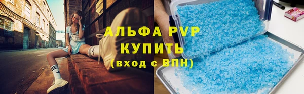 ПСИЛОЦИБИНОВЫЕ ГРИБЫ Новозыбков