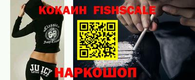 крисы Гай