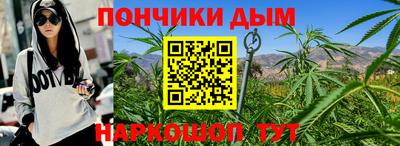 крисы Гай