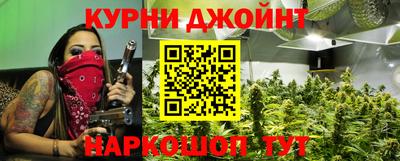 гашик Гатчина