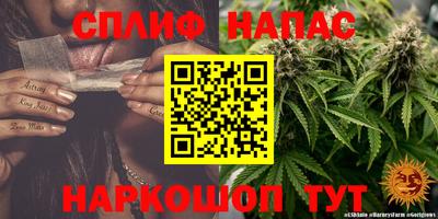 гашик Гатчина