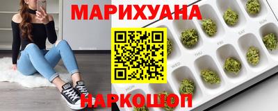 крисы Гай
