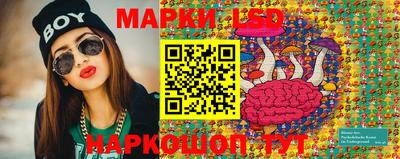 крисы Гай