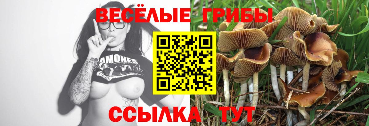 Электрогорск  Галлюциногенные грибы мухоморы  наркота  Вход с VPN 